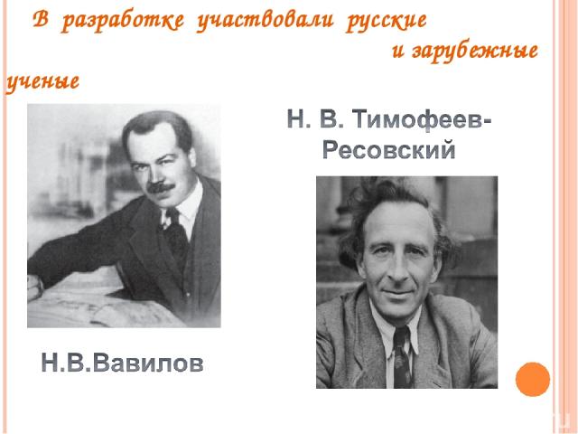 В разработке участвовали русские и зарубежные ученые