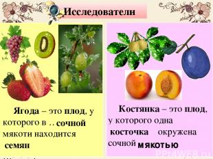 Исследователи Костянка – это плод, у которого одна … окружена сочной … . мякотью