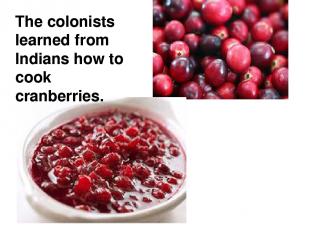 The colonists learned from Indians how to cook cranberries.