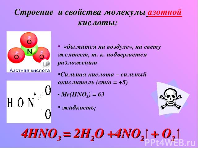 Строение и свойства молекулы азотной кислоты: «дымится на воздухе», на свету желтеет, т. к. подвергается разложению Сильная кислота – сильный окислитель (ст/о = +5) Mr(HNO3) = 63 жидкость; 4HNO3 = 2H2O +4NO2 + O2