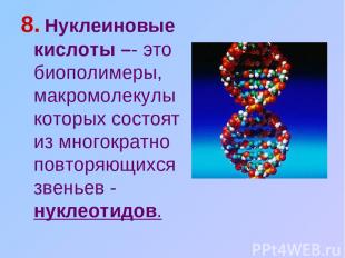 8. Нуклеиновые кислоты –- это биополимеры, макромолекулы которых состоят из мног