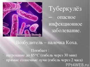 Туберкулёз – опасное инфекционное заболевание. Возбудитель – палочка Коха. Погиб