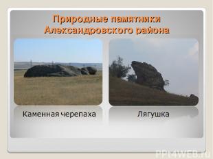 Природные памятники Александровского района