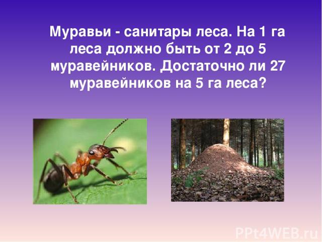 Муравьи - санитары леса. На 1 га леса должно быть от 2 до 5 муравейников. Достаточно ли 27 муравейников на 5 га леса?