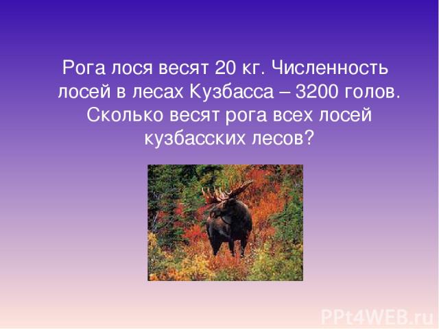 Рога лося весят 20 кг. Численность лосей в лесах Кузбасса – 3200 голов. Сколько весят рога всех лосей кузбасских лесов?