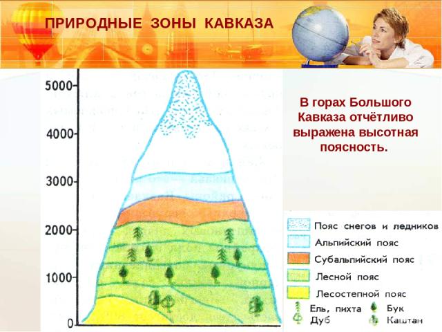 ПРИРОДНЫЕ ЗОНЫ КАВКАЗА В горах Большого Кавказа отчётливо выражена высотная поясность.