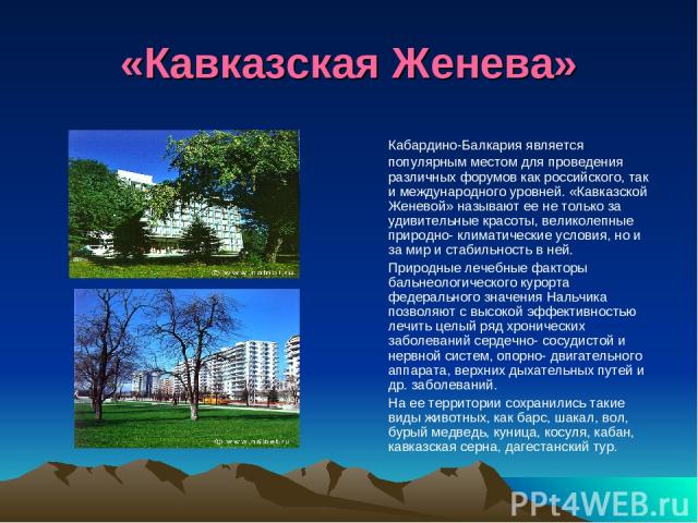 «Кавказская Женева» Кабардино-Балкария является популярным местом для проведения различных форумов как российского, так и международного уровней. «Кавказской Женевой» называют ее не только за удивительные красоты, великолепные природно- климатически…