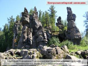 Берега реки Подкаменная Тунгуска окружают каменные останцы – результат выветрива