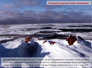 Большой Арктический заповедник Крупнейший заповедник России. Создан с целью сохр