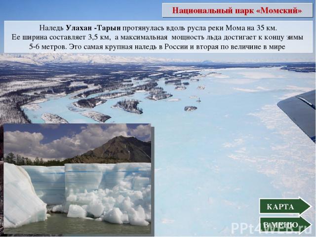  Наледь Улахан -Тарын протянулась вдоль русла реки Мома на 35 км. Ее ширина составляет 3,5 км,  а максимальная  мощность льда достигает к концу зимы 5-6 метров. Это самая крупная наледь в России и вторая по величине в мире В МЕНЮ Национальный парк «…
