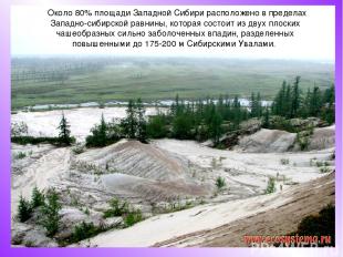 Около 80% площади Западной Сибири расположено в пределах Западно-сибирской равни