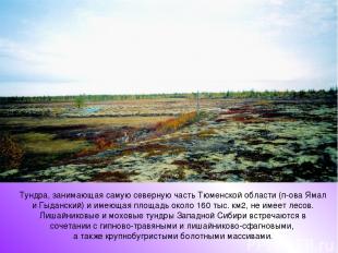 Тундра, занимающая самую северную часть Тюменской области (п-ова Ямал и Гыдански