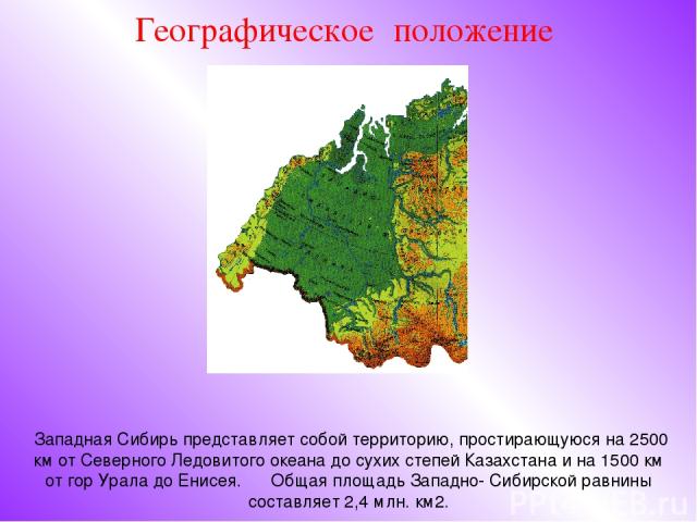 Западная Сибирь представляет собой территорию, простирающуюся на 2500 км от Северного Ледовитого океана до сухих степей Казахстана и на 1500 км от гор Урала до Енисея. Общая площадь Западно- Сибирской равнины составляет 2,4 млн. км2. Географическое …