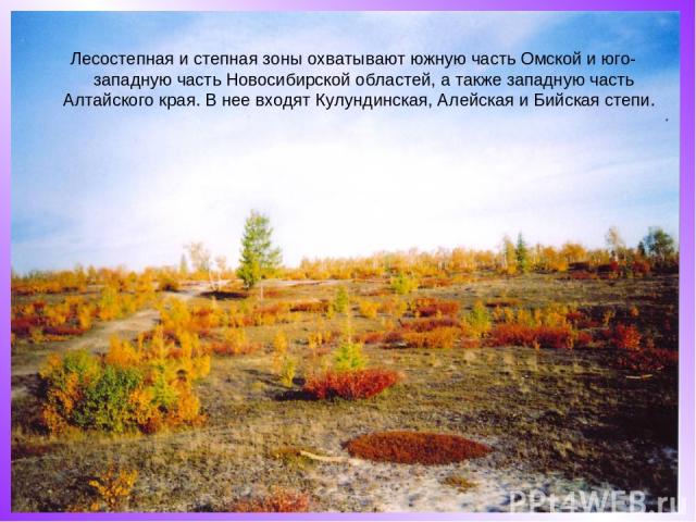 Лесостепная и степная зоны охватывают южную часть Омской и юго-западную часть Новосибирской областей, а также западную часть Алтайского края. В нее входят Кулундинская, Алейская и Бийская степи.