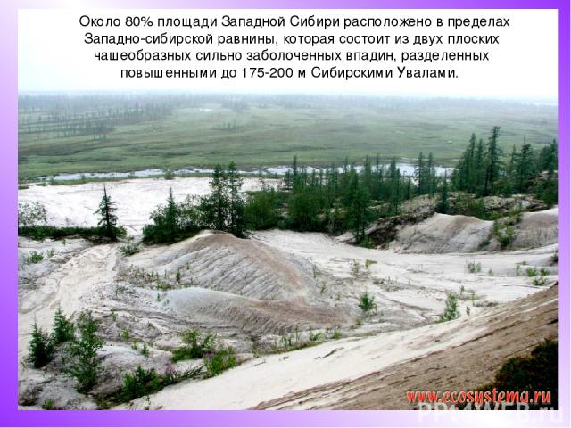 Около 80% площади Западной Сибири расположено в пределах Западно-сибирской равнины, которая состоит из двух плоских чашеобразных сильно заболоченных впадин, разделенных повышенными до 175-200 м Сибирскими Увалами.
