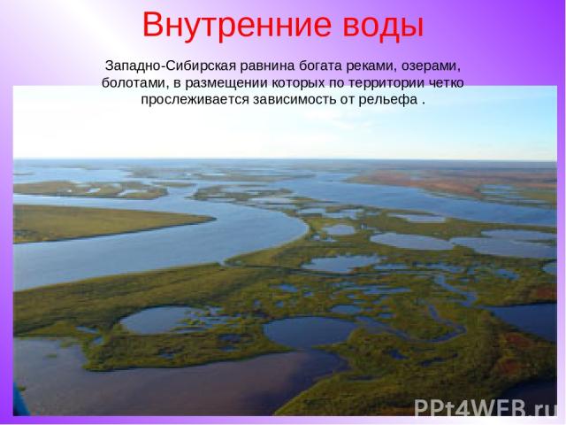 Внутренние воды Западно-Сибирская равнина богата реками, озерами, болотами, в размещении которых по территории четко прослеживается зависимость от рельефа .