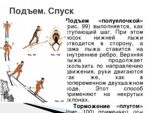 Подъем «полуелочкой» (рис. 99) выполняется, как ступающий шаг. При этом носок ни