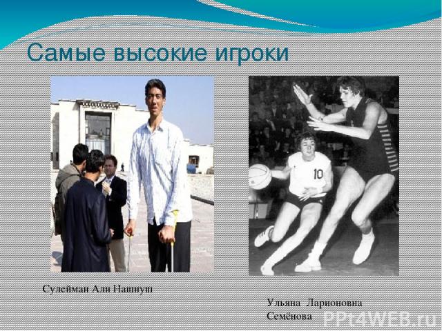 Самые высокие игроки Сулейман Али Нашнуш Ульяна Ларионовна Семёнова