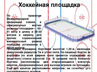 Хоккейная площадка По правилам Международной федерации хоккея, в официальных мат