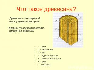 Что такое древесина? Древесина – это природный конструкционный материал. Древеси