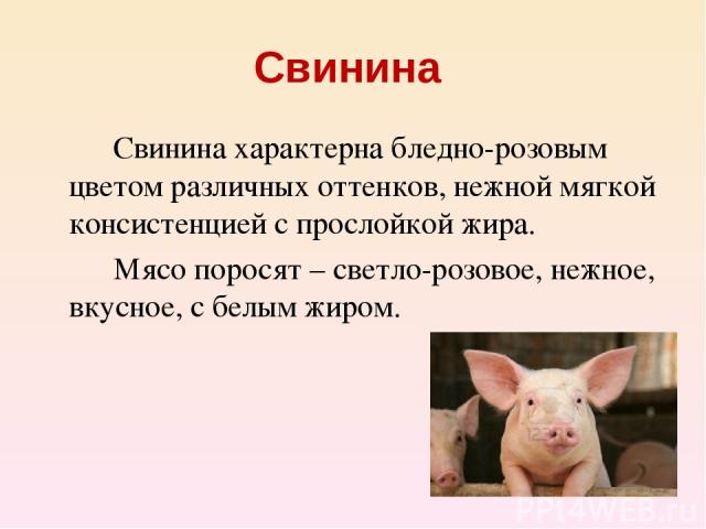 Свинина Свинина характерна бледно-розовым цветом различных оттенков, нежной мягкой консистенцией с прослойкой жира. Мясо поросят – светло-розовое, нежное, вкусное, с белым жиром.