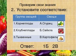 Проверим свои знания Ответ: 2. Установите соответствие: 1Б 2В 3А Группа овощей О