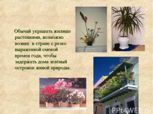 Обычай украшать жилище растениями, возможно возник в стране с резко выраженной с