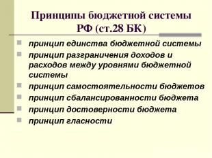 Принципы бюджетной системы РФ (ст.28 БК) принцип единства бюджетной системы прин