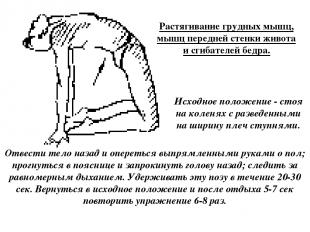 Растягивание грудных мышц, мышц передней стенки живота и сгибателей бедра. Исход