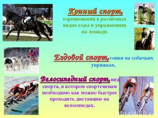 Конный спорт, соревнования в различных видах езды и упражнениях на лошади. Ездов