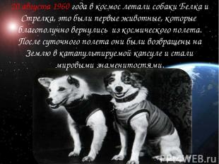 20 августа 1960 года в космос летали собаки Белка и Стрелка, это были первые жив