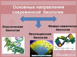 Основные направления современной биологии Классическая биология Эволюционная био