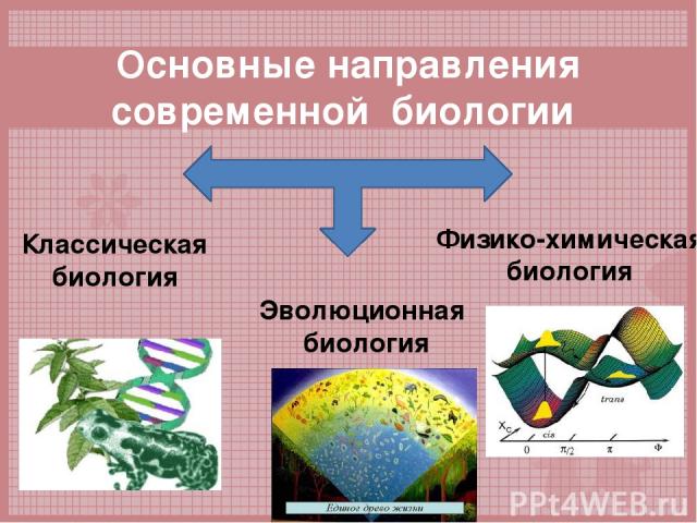 Основные направления современной биологии Классическая биология Эволюционная биология Физико-химическая биология