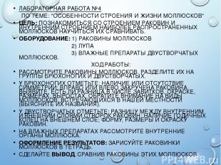 ЛАБОРАТОРНАЯ РАБОТА №4 ПО ТЕМЕ: "ОСОБЕННОСТИ СТРОЕНИЯ И ЖИЗНИ МОЛЛЮСКОВ" ЦЕЛЬ: П