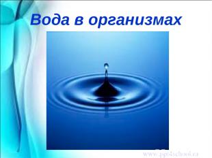 Вода в организмах www.ppt4school.ru