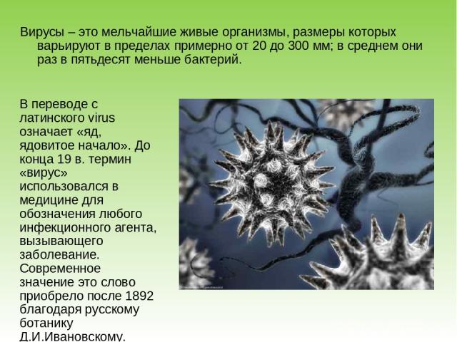 Вирусы – это мельчайшие живые организмы, размеры которых варьируют в пределах примерно от 20 до 300 мм; в среднем они раз в пятьдесят меньше бактерий. В переводе с латинского virus означает «яд, ядовитое начало». До конца 19 в. термин «вирус» исполь…