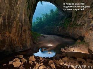 В пещере имеется подземная река и даже кусочек джунглей.