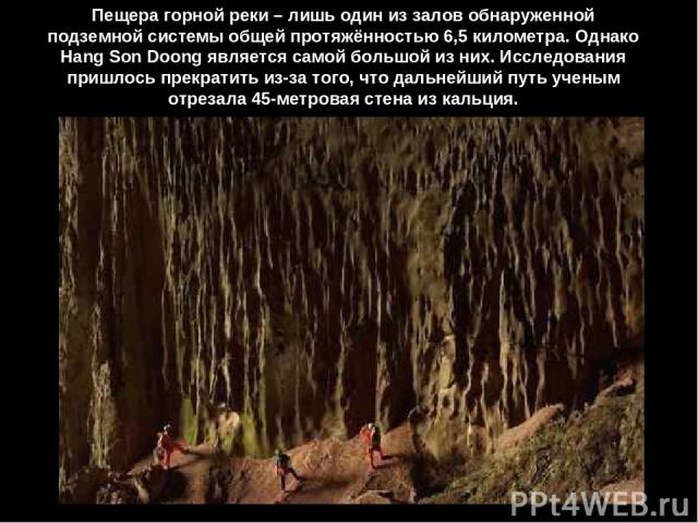 Пещера горной реки – лишь один из залов обнаруженной подземной системы общей протяжённостью 6,5 километра. Однако Hang Son Doong является самой большой из них. Исследования пришлось прекратить из-за того, что дальнейший путь ученым отрезала 45-метро…