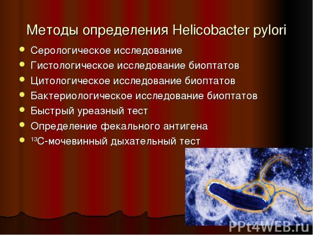 Методы определения Helicobacter pylori Серологическое исследование Гистологическое исследование биоптатов Цитологическое исследование биоптатов Бактериологическое исследование биоптатов Быстрый уреазный тест Определение фекального антигена 13С-мочев…