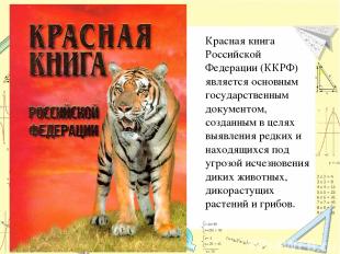Красная книга Российской Федерации (ККРФ) является основным государственным доку