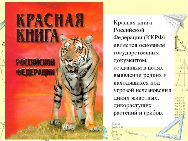 Красная книга Российской Федерации (ККРФ) является основным государственным документом, созданным в целях выявления редких и находящихся под угрозой исчезновения диких животных, дикорастущих растений и грибов.