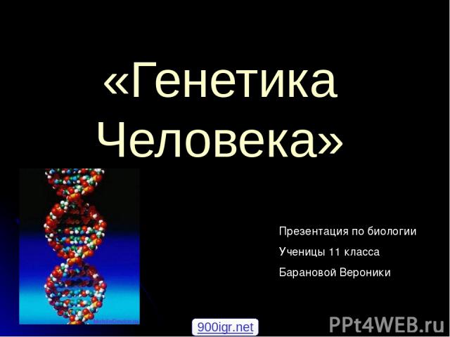 «Генетика Человека» Презентация по биологии Ученицы 11 класса Барановой Вероники 900igr.net