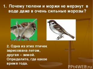 * 2. Одна из этих птичек зарисована летом, другая – зимой. Определите, где какое
