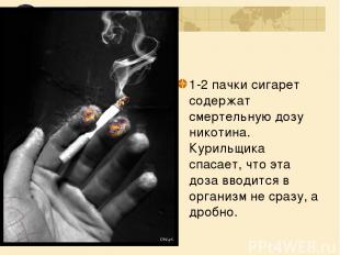 1-2 пачки сигарет содержат смертельную дозу никотина. Курильщика спасает, что эт
