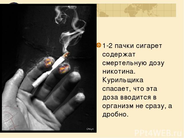 1-2 пачки сигарет содержат смертельную дозу никотина. Курильщика спасает, что эта доза вводится в организм не сразу, а дробно.