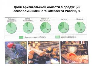 Доля Архангельской области в продукции лесопромышленного комплекса России, %