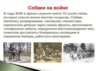 Собаки на войне В годы ВОВ в армии служило около 70 тысяч собак, которые спасли