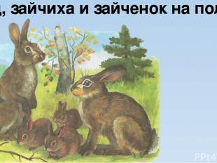 Заяц, зайчиха и зайченок на полянке