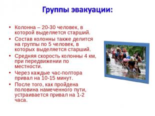 Колонна – 20-30 человек, в которой выделяется старший. Состав колонны также дели