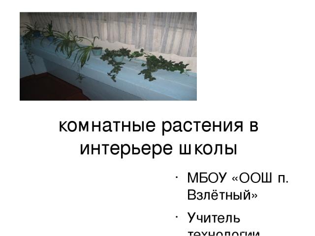 комнатные растения в интерьере школы МБОУ «ООШ п. Взлётный» Учитель технологии Крохалева Н.М